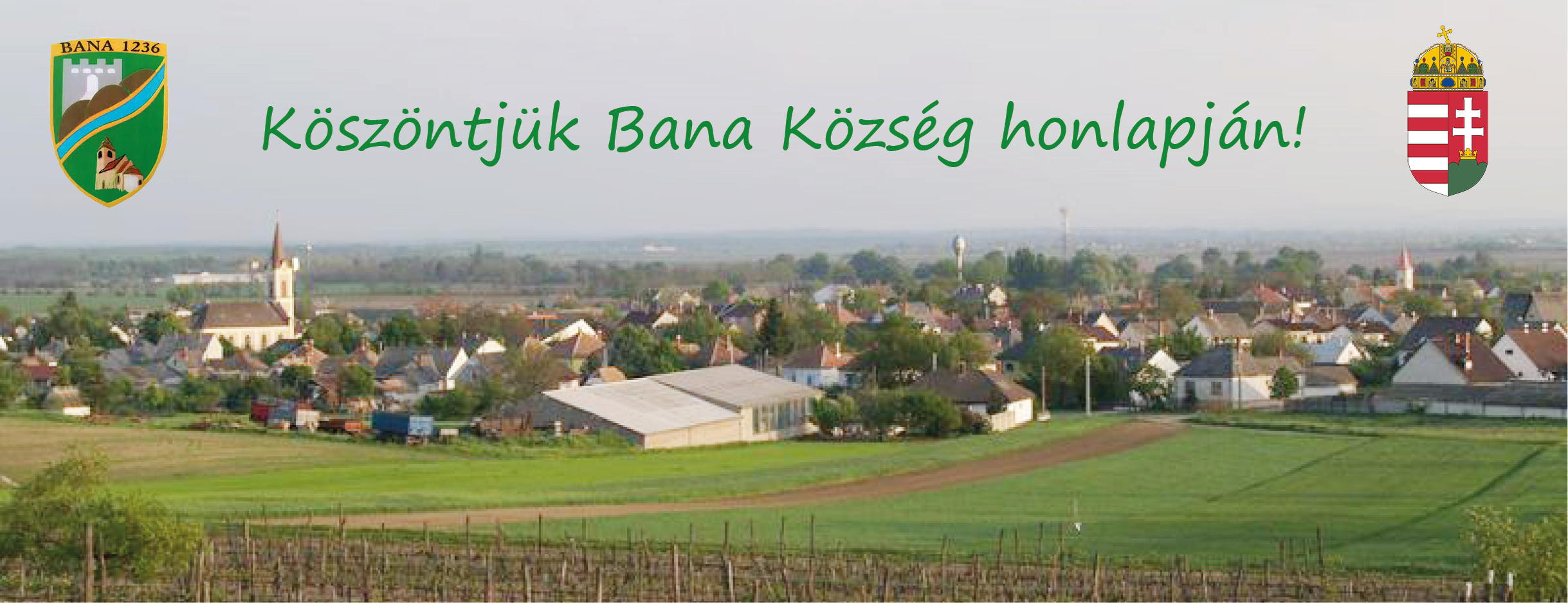 Bana